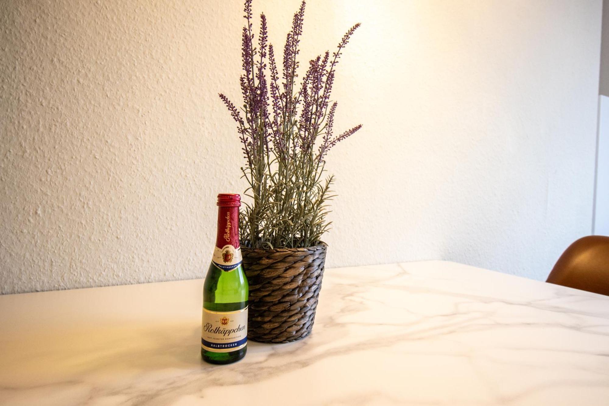 Fuer 5 Gaeste Grosse Kueche Messe- Und Citynah Apartment Hannover